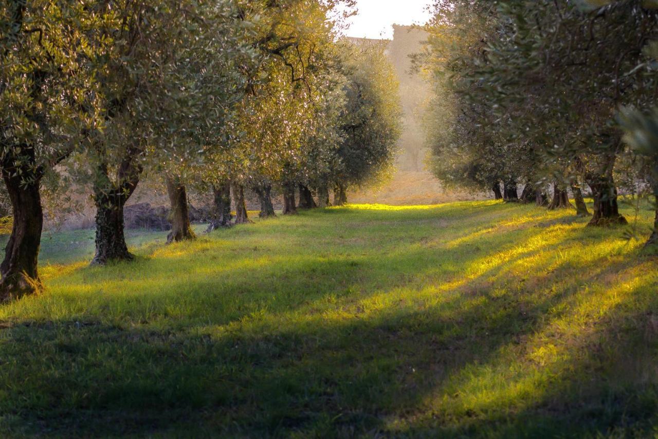 La Gemma Sul Lago Манерба-дель-Гарда Экстерьер фото